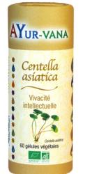 Centella Asiatica BIO, 60 glules - AYUR VANA